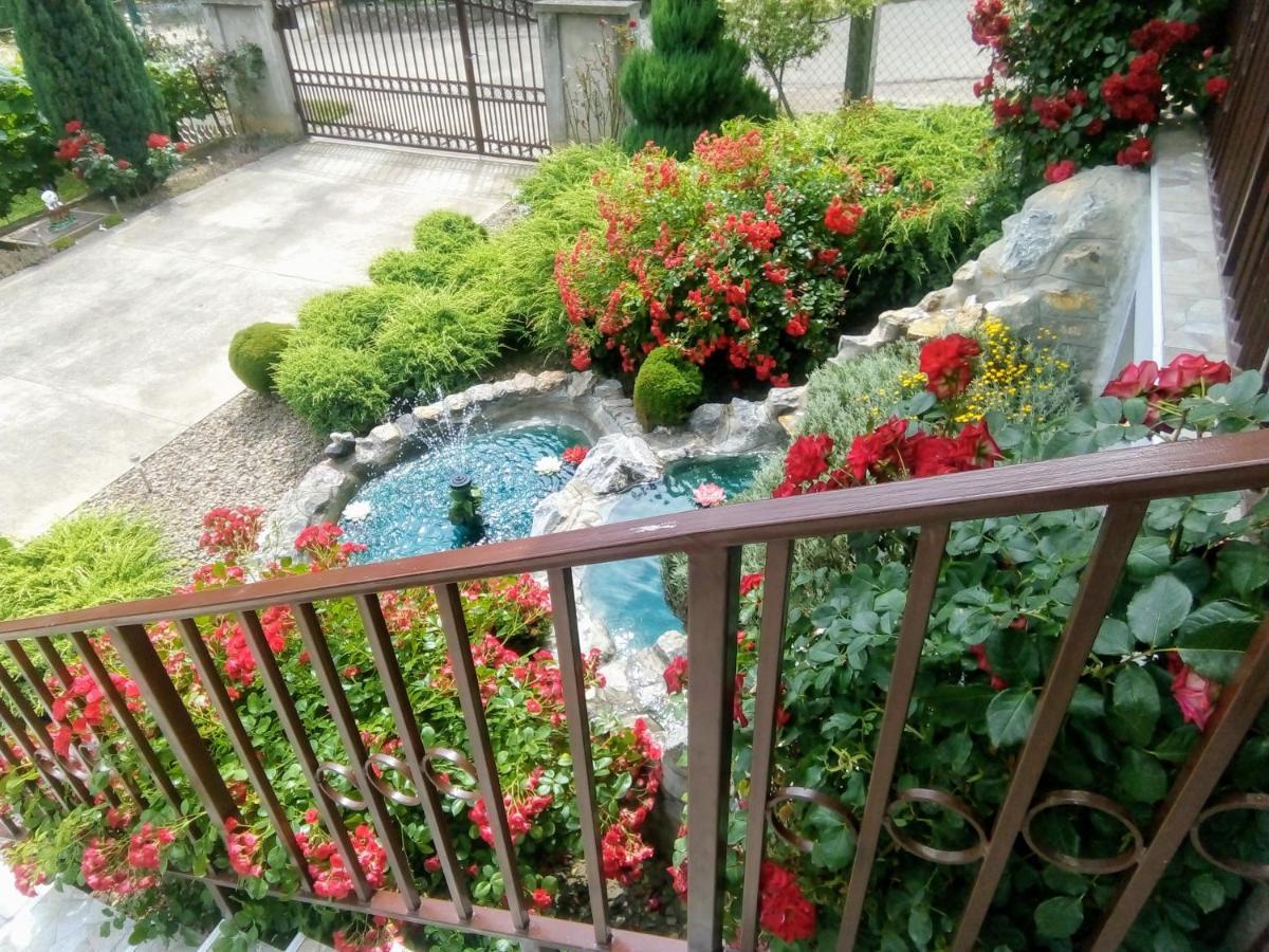 Mm Srce Apartament Vrdnik