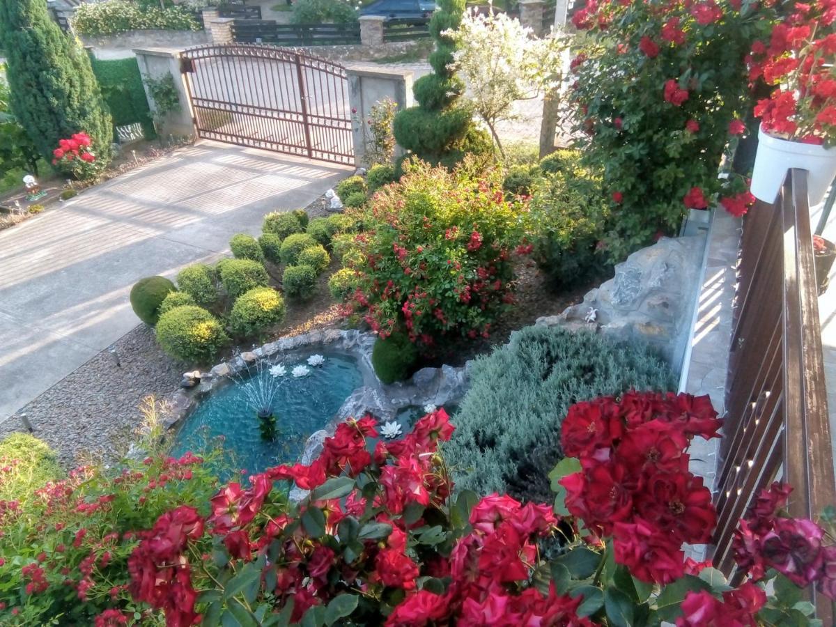 Mm Srce Apartment