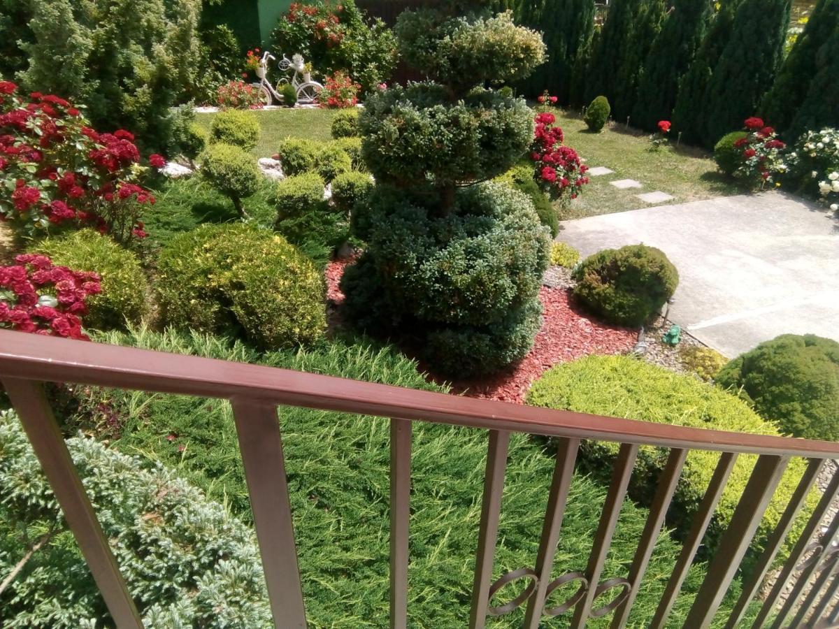 Apartment Mm Srce