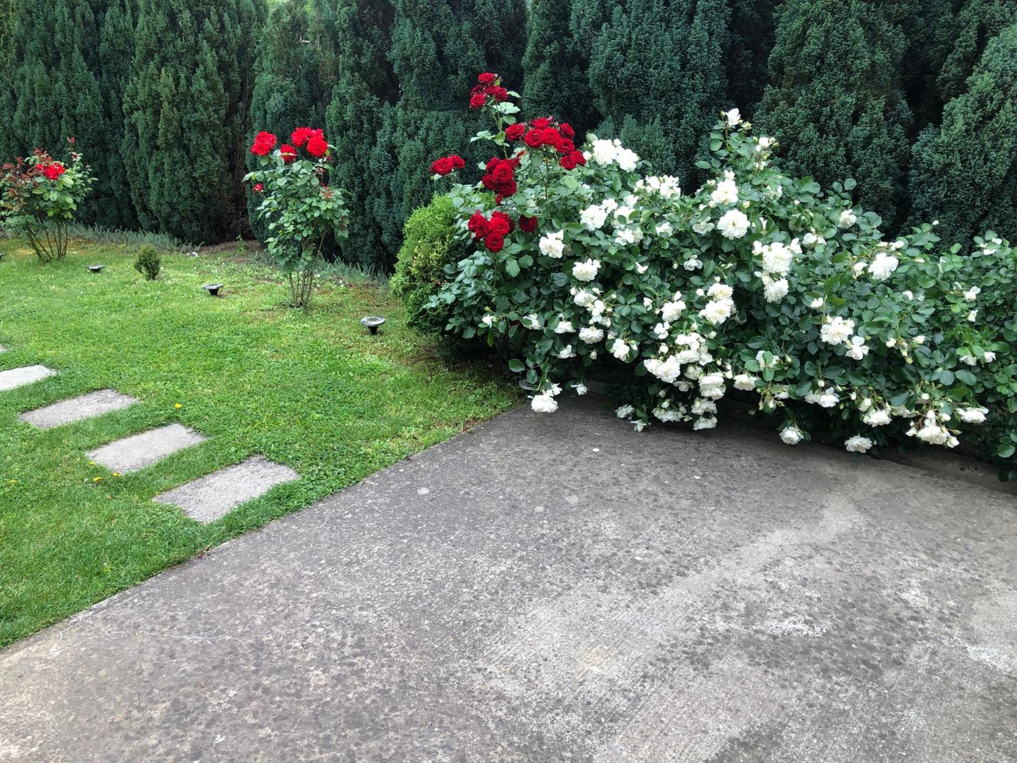 Apartament Mm Srce