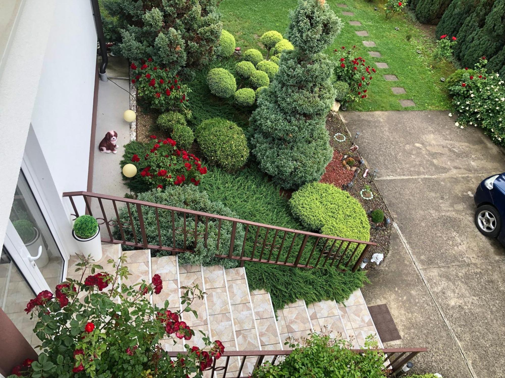Mm Srce Apartament